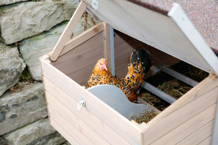 KERBL Hühnerstall-Set „Bonny“